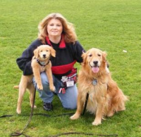 Gayle Ballinge Dog Trainer - Pawsitive Steps Dog Training